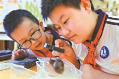 访谈父母 规划三餐 “双减”后学校作业“少量高效”、各具特色